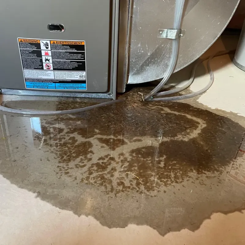 Appliance Leak Cleanup in Wurtland, KY
