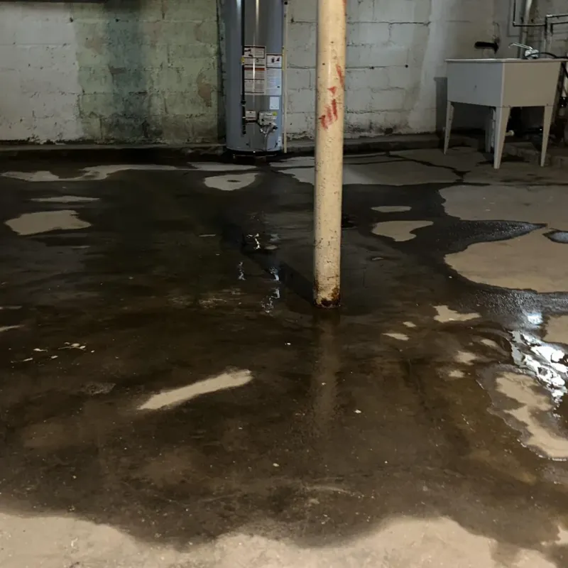 Emergency Water Extraction And Removal in Wurtland, KY